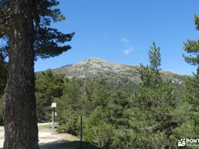 Praderas, Miradores Umbría de Siete Picos;montañas palentinas viajes puente de la constitucion vacac